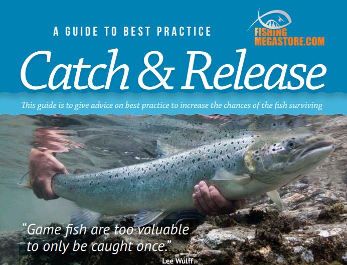 Catch and Release: Catch and release fish - CareElite