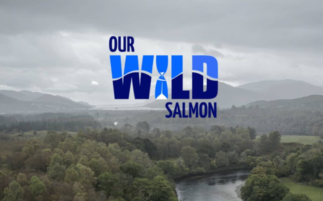 Our Wild Salmon