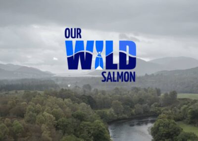 Our Wild Salmon