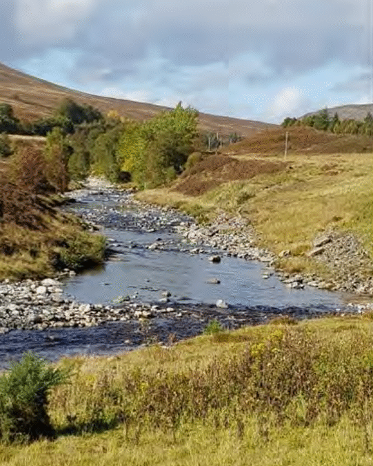 Chalk-stream salmon could become an official sub-species