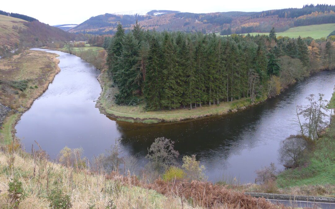 Bemersyde Trophy Winner Announced Following Outstanding Tweed Catch 