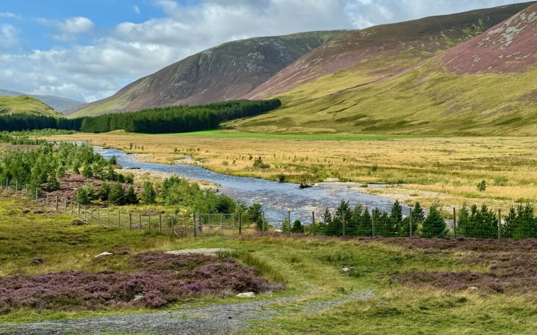 NatureScot launches consultation for Scotland’s peatlands